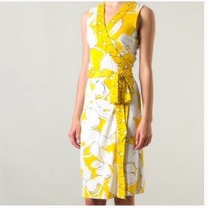 Diane Von Furstenberg New Yahzi Dress